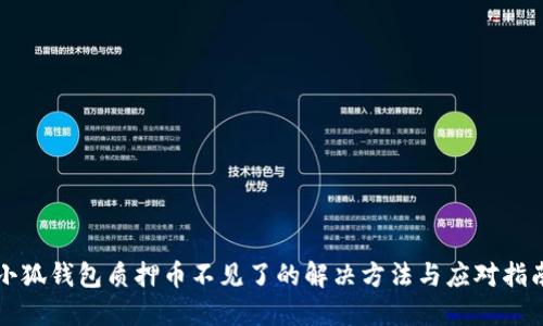 小狐钱包质押币不见了的解决方法与应对指南