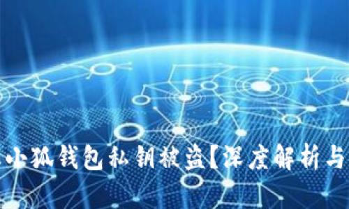 如何防止小狐钱包私钥被盗？深度解析与安全建议