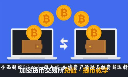 全面解析Tokenim国内版：加密资产管理与投资新选择